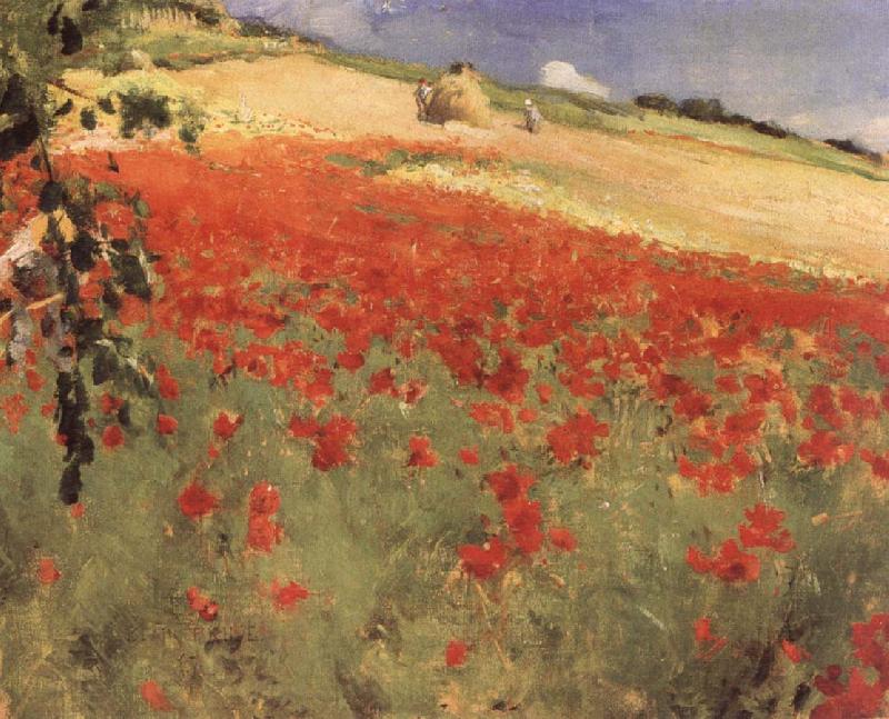 William blair bruce Landscape with Poppies Germany oil painting art